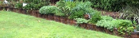A garden bed of mixed plantings at a cemetery