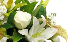 Close-up of a white lily and rose flower arrangement