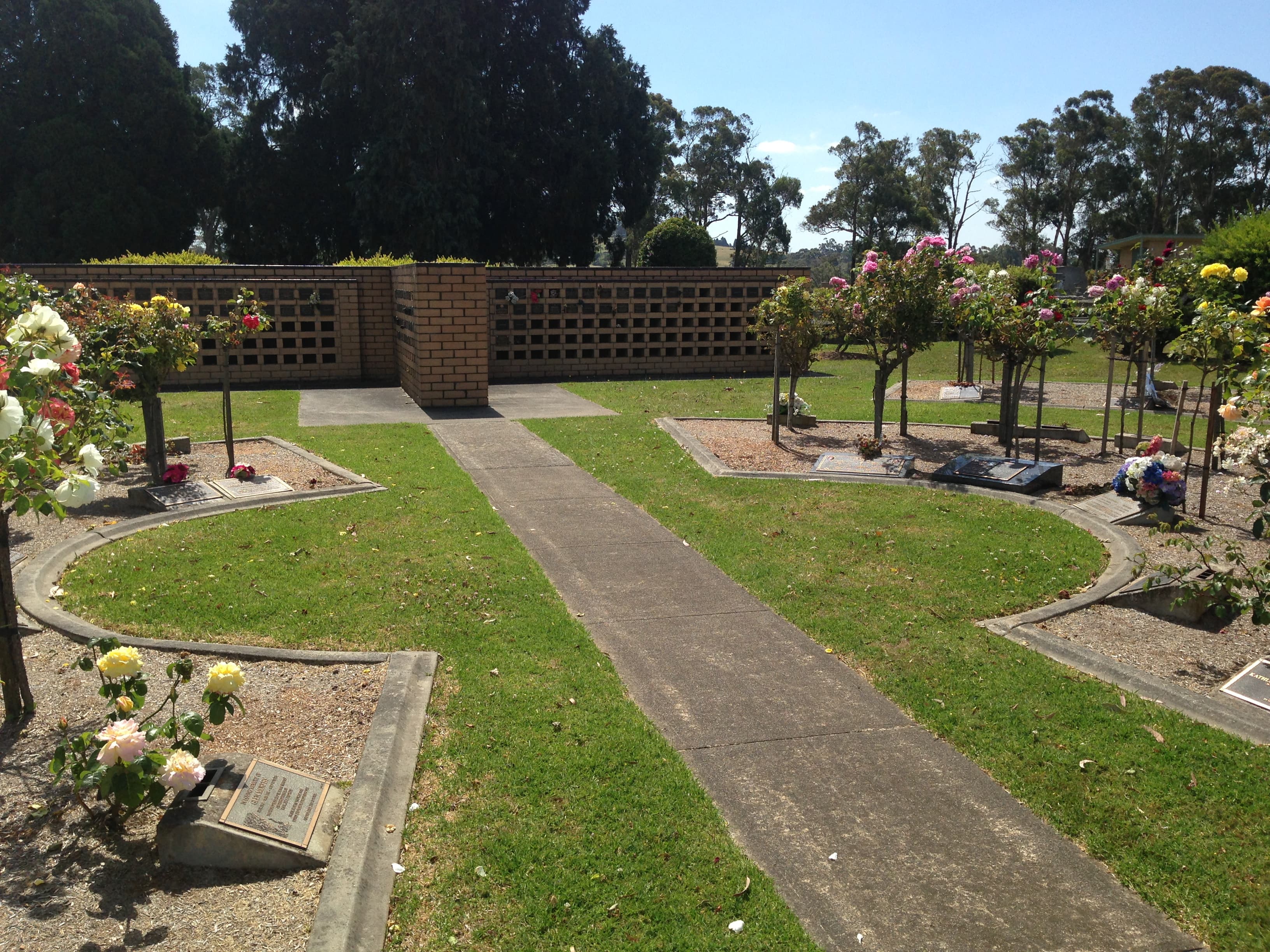 A rose garden with standard roses, garden beds and a rotunda in the memorial gardens