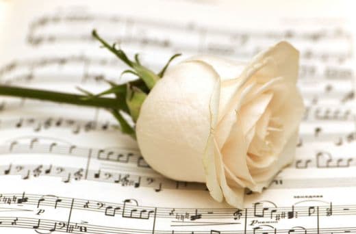 A white rose resting on sheet music