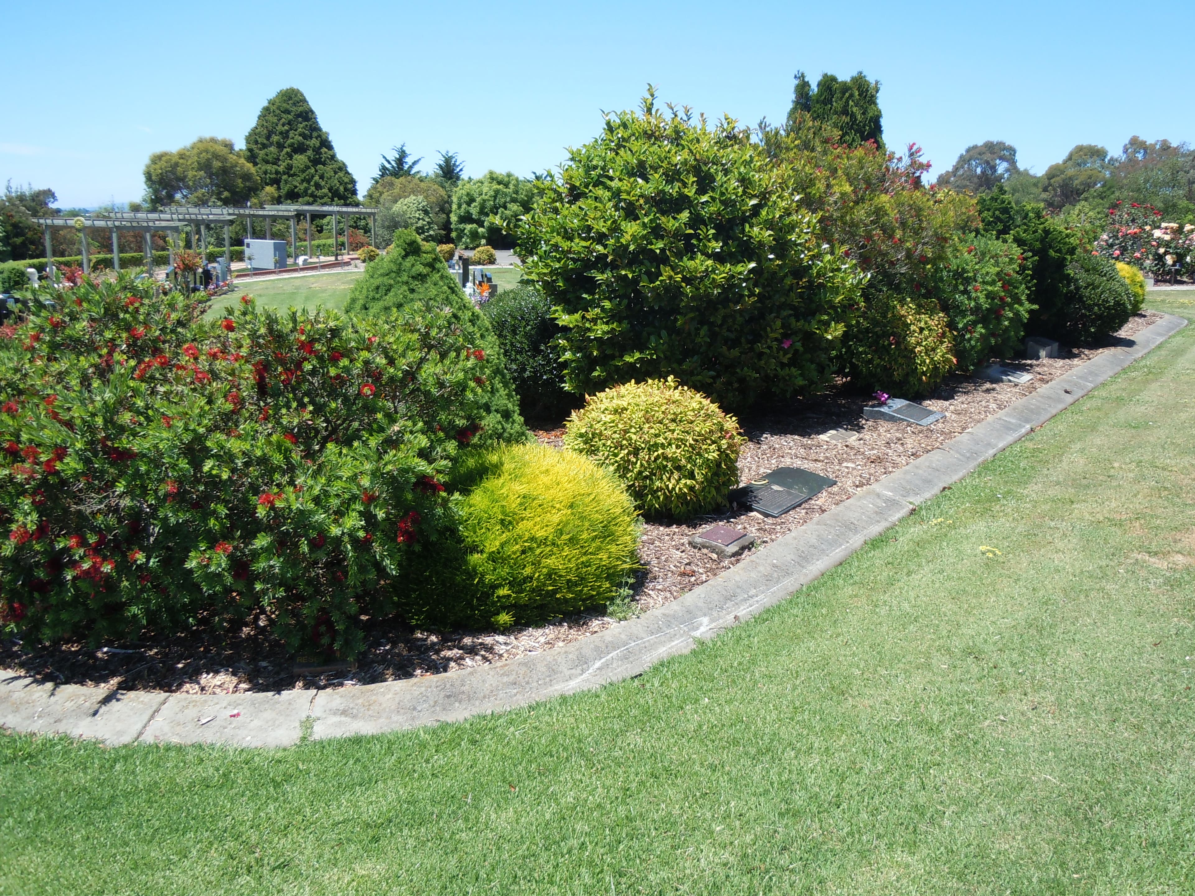A shrub garden bed with memorial plaques set among flowering shrubs