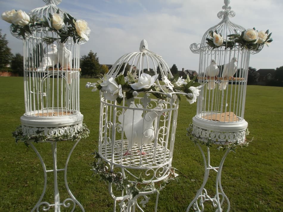 White doves in decorative cages for a dove release