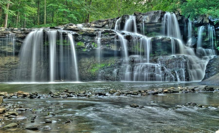 A waterfall in a forest