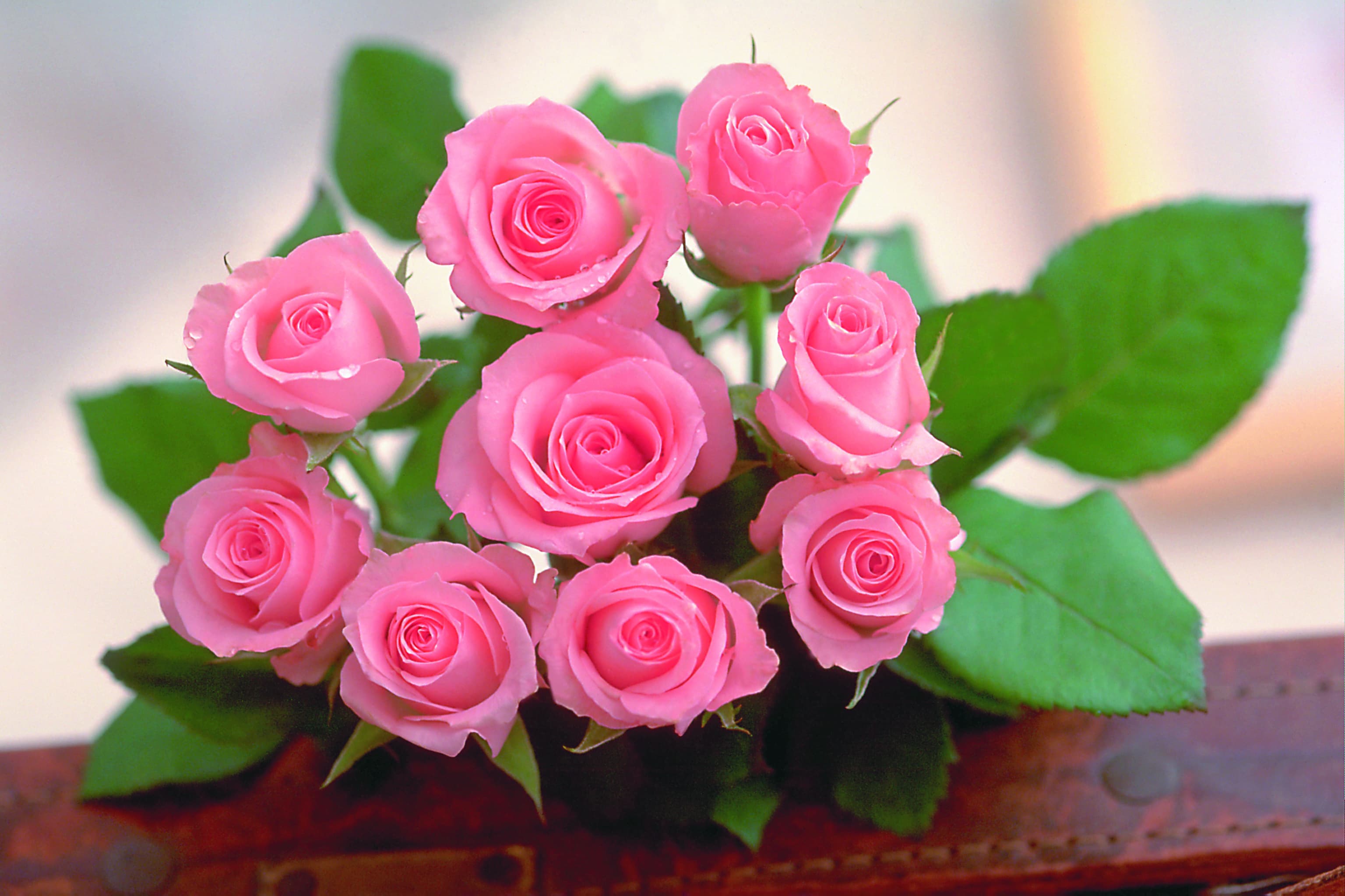 A bouquet of pink roses