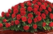 A red rose casket spray