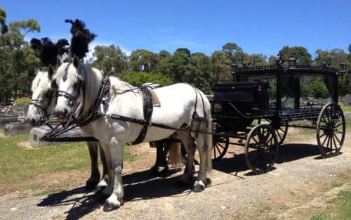 Horsedrawn hearse